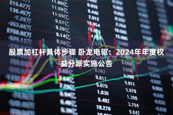 股票加杠杆具体步骤 卧龙电驱：2024年年度权益分派实施公告