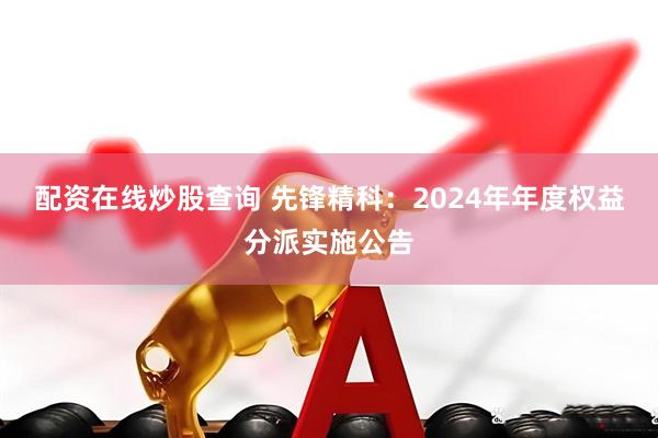 配资在线炒股查询 先锋精科：2024年年度权益分派实施公告