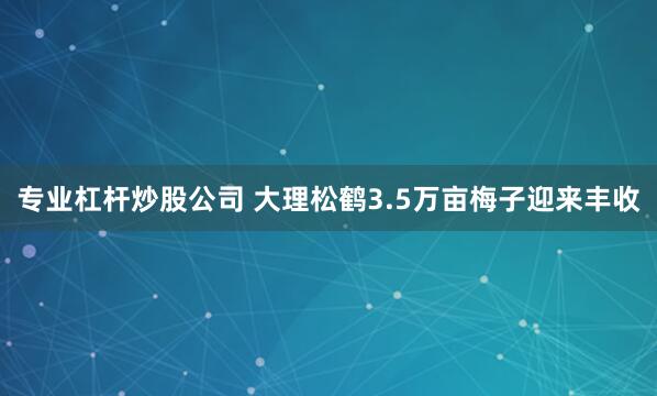 专业杠杆炒股公司 大理松鹤3.5万亩梅子迎来丰收