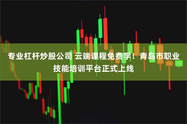 专业杠杆炒股公司 云端课程免费学！青岛市职业技能培训平台正式上线